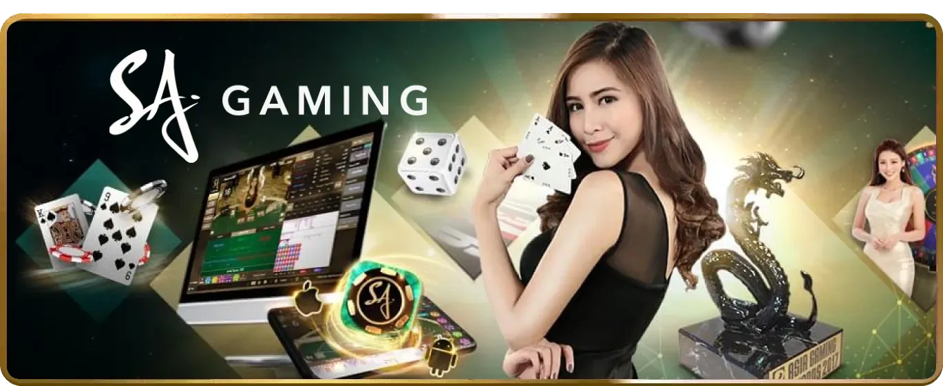 Hoàn Trả Hàng Ngày/Tuần SM666